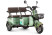 Electric tricycle Rutrike Gelbert Kang 48V/60V 800W, green