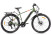 Gelbert Ran Star 2 PRO electric bike, green