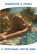 Quartz sand for pool sand filter, FMGroup, fraction 0.2-0.8 mm, 12.5 kg