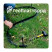 Garden peg for Mango Geoplastboard series curb tape, 22cm set of 30 pcs., black