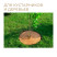 Coconut barrel circle 5 pieces 60 cm Coconut fiber 100 %