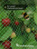 Garden netting to protect plants and crops from birds Geoplastboard 2x10 m color green
