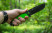 Ganzo G8012 knife light green