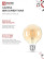 LED lamp LED-GL-95-deco gold 9W 230V E27 3000K 1040Lm gold IN HOME