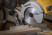 Miter Saw 1850W 4300 rpm DWS778-QS