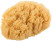 Natural sea sponge, for decoration, 100x110 mm