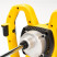 KOLNER KEM 120/1400V construction mixer