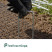 Garden staples for covering material U-shaped 20 pieces metal