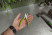 Pliers combined 125 mm