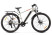 Gelbert Navi 2 PRO electric bike, grey