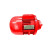 1t Lifting Motor for CD1 / MD1