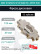 Фреза дисковая D125 мм, 12 зубьев DKF D125X12 Z12 W40 CC..09T3 ISO / пластина CC*T 09T3**