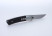 Ganzo G7362 knife black