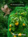 Garden netting to protect plants and crops from birds Geoplastboard 2x10 m color green