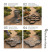 Molds for filling garden paths, 50x50x6 cm - 2 pcs