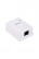 WRline WR-WS-8P8C-C5E-1 Computer socket RJ-45, category 5e, unshielded, single, external, Dual IDC, color white