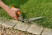 Scissors for cutting grass with one hand GS-76