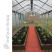 PVC plastic bed 1x3 m height 27 cm, color brown