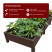 PVC plastic bed 1x3 m height 27 cm, color brown