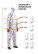 Reusable painting jumpsuit Jeta Safety JPC75g, size XXL, gray, - 1 pc.