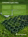 Lawn grating for garden paths and parking, green