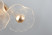 Бра светильник Rivoli Shannon 6135-401 светодиодный LED 7 Вт 3000 К дизайн