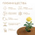 Coconut barrel circle 5 pieces 30 cm Coconut fiber 100 %