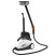 Steam cleaner BORT BDR-2500-RR