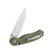 Ganzo D727M-GR green knife (D2 steel)