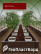 PVC plastic bed 1x3 m height 27 cm, color brown