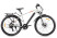 Gelbert Ran Star 2 PRO electric bike, black