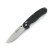 Ganzo G727M knife black