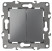 ERA Series 12 12-1112-12 Crossover Double Switch, 10AH-250V, Graphite