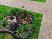 Plastic Mango garden board Geoplastboard, height 38 mm, 10 meters +30 stakes, brown