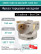 Фреза торцевая насадная 160 мм, посадка 40 мм, 12 зубьев EM90 160X12 040 SEET 1203 ZCC (без СОЖ) под пластину ZCC-CT