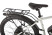 Gelbert Ran 3 PRO electric bike, black