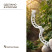 Garden clip for garter plants, set of 100 pcs., color transparent