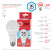 ERA RED LINE LED lamp A65-25W-840-E27 R 25W bulb neutral white light E27