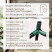 Greenhouse greenhouse on the windowsill Geoplastboard 59x39x160 cm 4 shelves with a cover arch color green