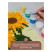 Acrylic decorative paints "Hobby" range, 16 colors, 20ml, cardboard. packaging