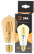 LED lamp ERA F-LED ST64-7W-824-E27 gold 7W filament golden warm white light E27