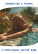 Quartz sand for pool sand filter, FMGroup, fraction 0.2-0.8 mm, 10 kg