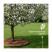Border ribbon garden DECO Geoplastboard 10 meters color black