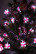 LED Christmas Garland ERA ENIN-3P Thread Gifts 3M Cool Light