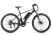 Gelbert Ran 1 ST electric bike, black