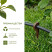 Drip irrigation pegs 40 pieces for tube d 16mm brown