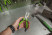 (419160) Mechanical stripping pliers 160 mm