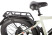Gelbert Pegas 3 DUAL PRO electric bike, beige
