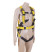 Safety harness with integrated belt for holding and positioning DVX02Y