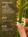 Garden clip for garter plants, set of 100 pcs., color transparent